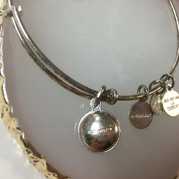 Alex and Ani Swarovski Color Code Amethyst silver tone bangle charm bracelet - Picture 3 of 3